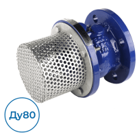 Обратный клапан CC3241-0080 Tecofi Ду80 Ру16