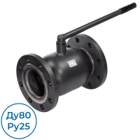 Кран 065N4286GR RJIP FF Premium Ду80 Ру25 с рукояткой Ридан