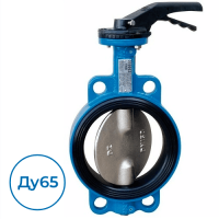 Дисковый затвор VP4458-02EP0065 Tecofi Ду65 Ру25