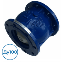 Обратный клапан CA3241-0100 Tecofi Ду100 Ру16