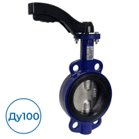 Дисковый затвор 51200100 Heven Ду100 Ру16