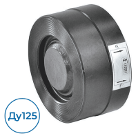 Обратный клапан CA7441-0125 Tecofi Ду125 Ру16