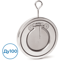 Обратный клапан 2300100 FAF Ду100 Ру16