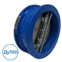 Обратный клапан 2350100 FAF Ду100 Ру16