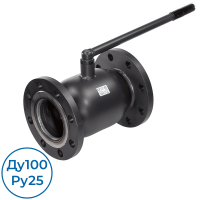 Кран 065N0340GR RJIP FF Premium Ду100 Ру25 с рукояткой Ридан