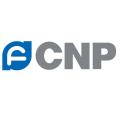 Насосы CNP