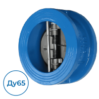 Обратный клапан CB4450-0065 Tecofi Ду65 Ру25