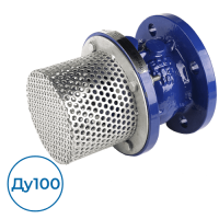 Обратный клапан CC3241-0100 Tecofi Ду100 Ру16