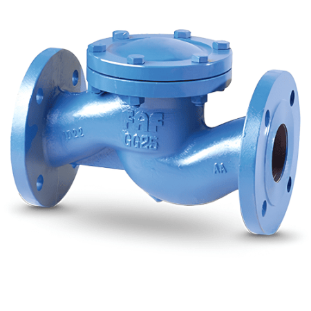 Обратный клапан 2250080 FAF Ду80 Ру16