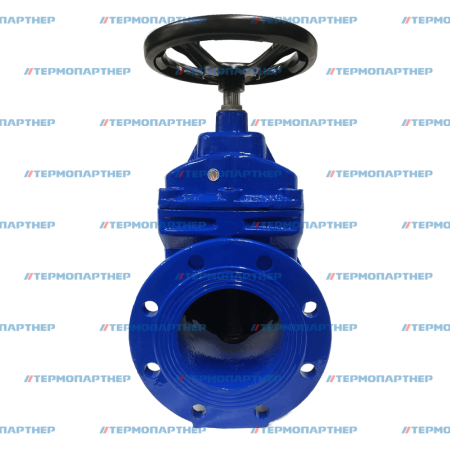 Задвижка 6000050 FAF Ду50 Ру16