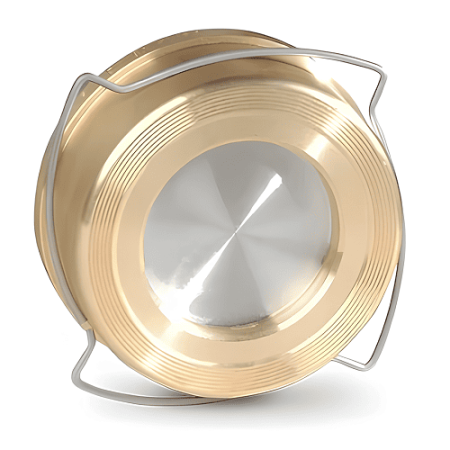 Обратный клапан 2370065 FAF Ду65 Ру16